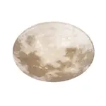 LED stropné osvetlenie Reality Moonika biela R62764000