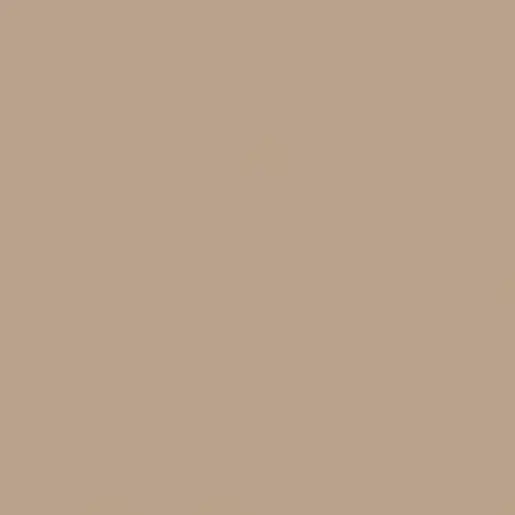 Obklad Rako Color One béžovohnědá 15x15 cm lesk WAA19301.1