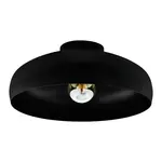 Stropné osvetlenie Eglo MOGANO čierna 43637