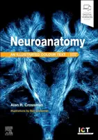 Neuroanatomy: Illustrated Colour Text - Alan R.  Crossman