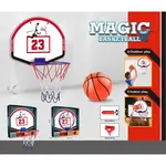 Basketbalový kôš (2109)