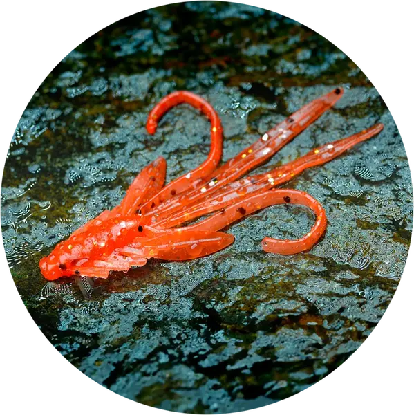 Redbass gumová nástraha nymfa orange g - s 53 mm