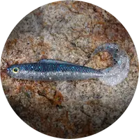 Redbass gumová nástraha twister kixter super natur - 12,5 cm 14 g