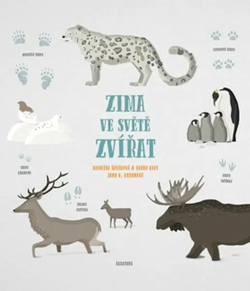 Zima ve světě zvířat - Markéta Špačková, Irena Kocí