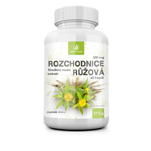 ALLNATURE Rozchodnice růžová 500 mg 60 kapslí