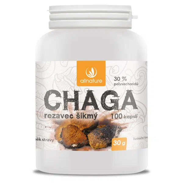 ALLNATURE Chaga 100 tobolek