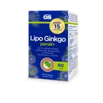 GS Lipo Ginkgo paměť+ 60 mg 90+15 kapslí