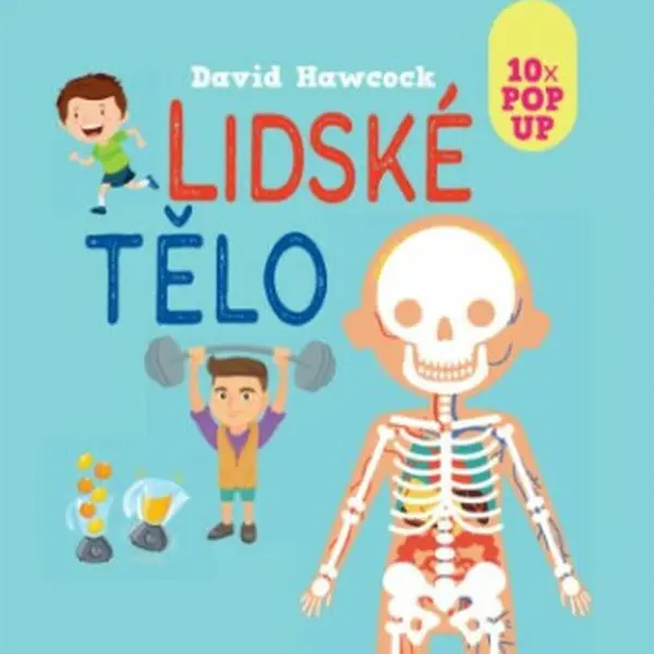 Lidské tělo 10x POP UP - David Hawcock