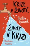Krize - Felix Francis - e-kniha