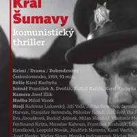 Král Šumavy - Petr Kopal