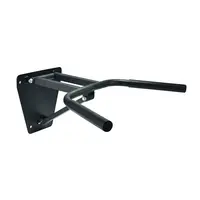 inSPORTline Nástěnná sklápěcí bradla  HR4010