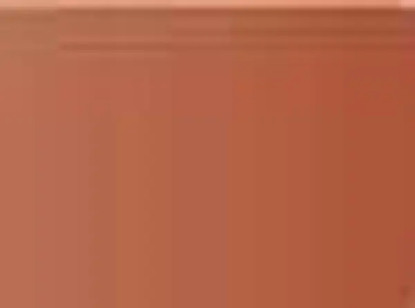 Pastel Caran d'Ache Neocolor II 065 Russet