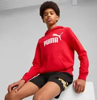 Puma ESS No. 1 Logo Hoodie TR B 176
