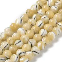 Natural Trochus Shell Beads Strands