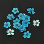 Narcissus Embossing Dried Flowers