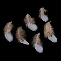 Chicken Feather Costume Accessories