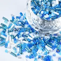FGB Glass Seed Beads