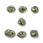 Electroplated Natural Freshwater Shell Nuggets Beads