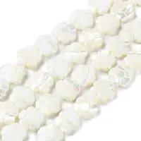 Natural Trochus Shell Beads Strands