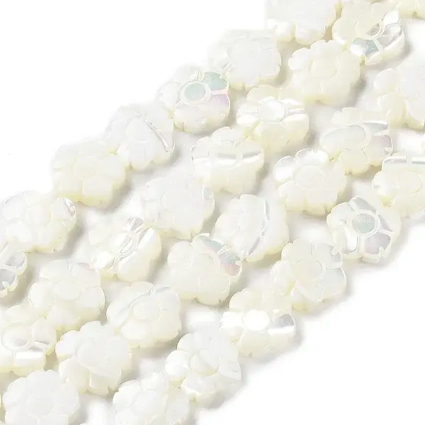 Natural Trochus Shell Beads Strands