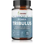 Blendea Power Tribulus podpora sportovního výkonu 60 cps