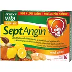 VITAR SEPTANGIN MED A CITRON Doplněk stravy, , velikost