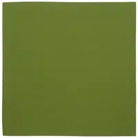 Novel UBRUS, 80/80 cm, zelená