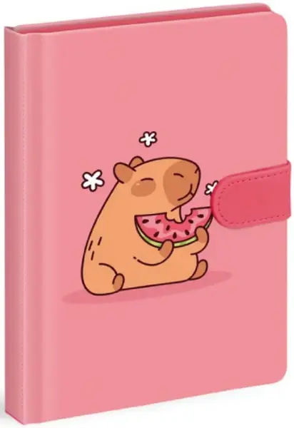 Blok s magnetem 13x19cm,120listů