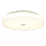 Novel STROPNÍ LED SVÍTIDLO, 43/8 cm