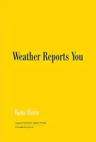 Roni Horn: Weather Reports You (2022) - Roni Horn