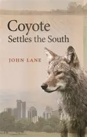 Coyote Settles the South - John Lane