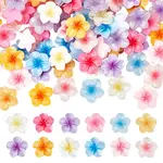 96Pcs 12 Colors Transparent Resin Cabochons