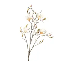 MAGNOLIE 110 cm