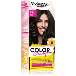 Schwarzkopf Palette Color Shampoo tónovací šampón odtieň 1-0 (113) Black 50 ml