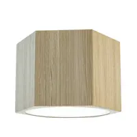 STROPNÍ BODOVÉ SVÍTIDLO, 12/8 cm