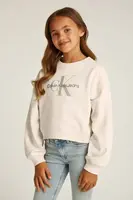 Dětská bavlněná mikina Calvin Klein Jeans