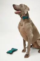 Hračka pro psa Medicine 9_Commercial