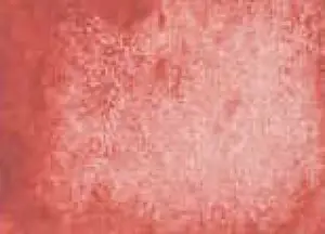 Akvarelová barva DS 15ml – 122 Italian Venetian Red