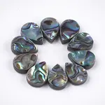 Abalone Shell/Paua Shell Beads