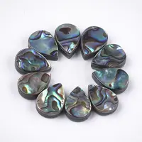 Abalone Shell/Paua Shell Beads