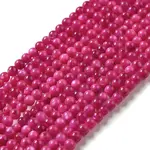 Natural Freshwater Shell Beads Strands