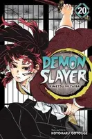 Demon Slayer: Kimetsu no Yaiba (Volume 20) - Kojoharu Gotóge - kniha z kategorie Fantasy
