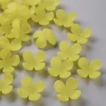 Frosted Acrylic Bead Caps