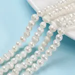 Natural Cultured Freshwater Pearl Beads Strands