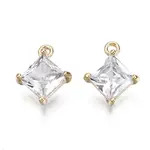Brass Micro Pave Clear Cubic Zirconia Charms