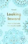 Looking Inward (How to Find Calm in a Chaotic World) - kniha z kategorie Psychologie