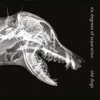 Six Degrees of Separation – Old Dogs