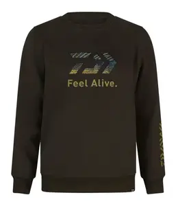 Daiwa mikina d-vec hoodie crew neck zander - l