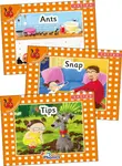 Jolly Phonics Orange Level Readers Set 1 - Louise Van-Pottelsberghe