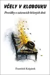 Včely v klobouku - František Kašpárek
